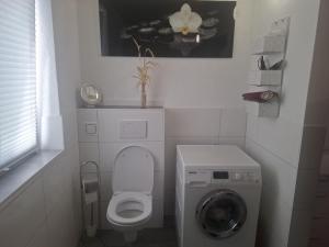 a bathroom with a toilet and a washing machine at Haus Steiner in Kleblach +18 photos
