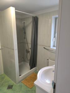 a bathroom with a shower and a sink at Apartment Maria Domžale in Domžale