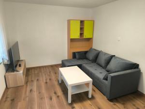 a living room with a couch and a table at Apartment Maria Domžale in Domžale
