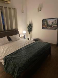 a bedroom with a bed and a picture on the wall at Executive Guest Room - Helcion Residency in Lahore