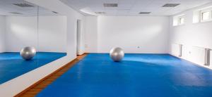 an empty room with a blue floor and two silver balls at Wellness Pension AniLife in Číměř