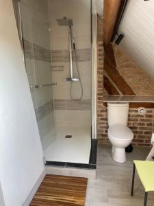 a bathroom with a shower with a toilet at Le balcon in Beaumont-le-Hareng +9 photos