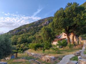 a house on the side of a mountain at Forest Apartments in Kotor