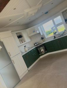 a large kitchen with green cabinets and windows at Glenmore in Doonbeg