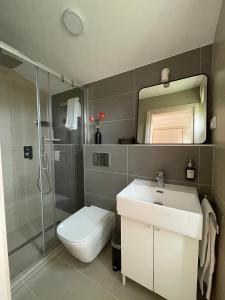 a bathroom with a toilet and a sink and a shower at 302 Charmantes naturnahes Tiny House- das Herman in Bleckede