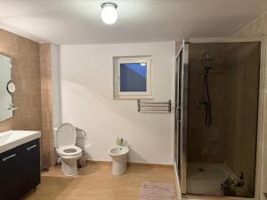 a bathroom with a shower and a toilet and a sink at Harmony House Vera Lux in Dragomireşti +24 photos