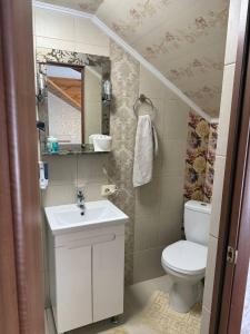 a small bathroom with a toilet and a sink at Колиска Карпат in Slavske +49 photos