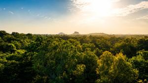 a forest of trees with the sun in the sky at wood cabin sigiriya in Sigiriya