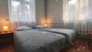 a bedroom with a bed with two pillows and a window at Hostel Lõuna in Pärnu