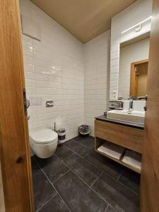 a bathroom with a toilet and a sink at Hotel SINOS in Klagenfurt