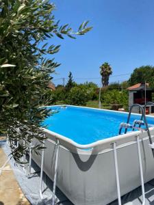 ein großer Swimmingpool im Garten in der Unterkunft PANKO Suite in Dhímitra