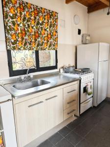 a kitchen with a sink and a white refrigerator at Miniloft Centrico in El Calafate +2 photos
