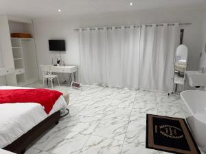 a bedroom with a bed and a desk and a sink at Veesboutiquehotel in eMalahleni +4 photos