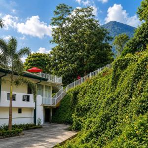 a house on a hill with a hedge at Mounts Edge Regency in Mahiyangana