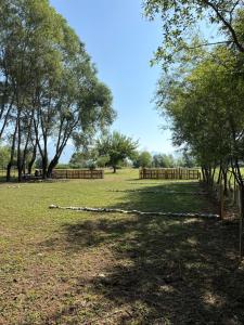 a field with trees and a wooden fence at Taverna e liqenit in Shtoji i Vjetër