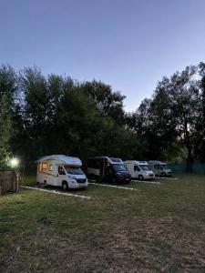 a group of parked vehicles parked in a field at Taverna e liqenit in Shtoji i Vjetër +11 photos