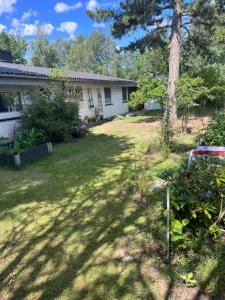 a yard in front of a house with a tree at Sommerhus in Grevinge