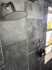 a shower with a shower head in a bathroom at Hidden Gem in George