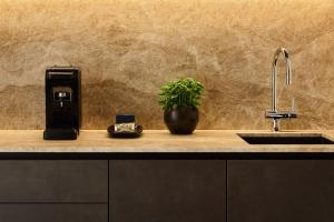 a kitchen counter with a sink and a potted plant at Chalet Vanzi in San Martino in Badia +43 photos