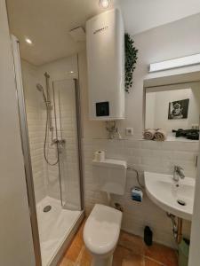 a bathroom with a shower and a toilet and a sink at Gemütliche Stadtwohnung im Zentrum in Weinheim +9 photos