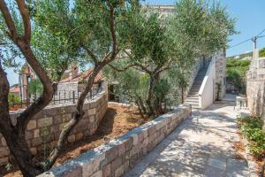 a stone retaining wall with trees and stairs at Villa Rustica - Veslo in Begovići +26 photos
