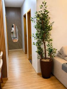a hallway with two potted trees in a room at Recanto Augusta in Londrina