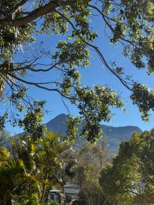 a view of the mountains through the trees at Hidden Gem in George