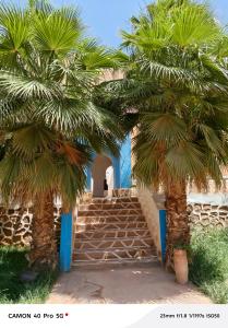 two palm trees in front of a building with stairs at Hostel amodou in Tinerhir