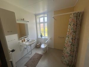 a bathroom with a sink and a toilet and a window at Restaurant Backhaus in Ribe +63 photos