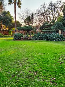 a park with green grass and trees and palm trees at 30 on Latham Guesthouse in Klerksdorp