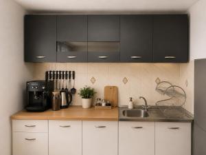 a kitchen with white cabinets and a sink at Apartmani Natura SH in Hodžinac