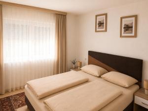 a bedroom with a bed with a large window at Apartmani Natura SH in Hodžinac