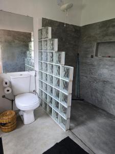 a bathroom with a toilet and a wall of glass shelves at Casa de Deli in Ilha de Boipeba