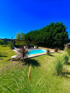 a swimming pool in the middle of a grass field at EBC SUM&Aparts in San Miguel del Monte +7 photos