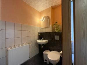 a small bathroom with a toilet and a sink at Il tempio del Gusto in Oelsnitz +32 photos