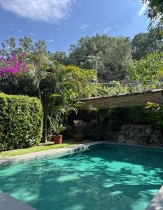 a swimming pool in a yard with plants at Sierra Norte By Chic Hotel Group in Tepoztlán
