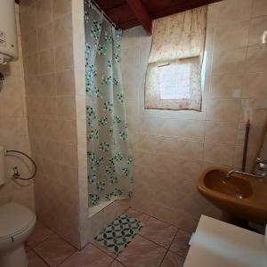 a bathroom with a shower with a toilet and a sink at Domki Wakacyjne nad Jeziorem in Janowice +15 photos