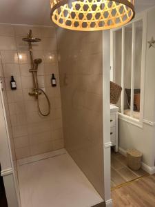 a bathroom with a shower and a chandelier at Le Nid de Lou in Aire