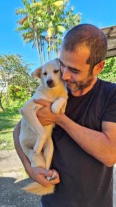a man holding a white dog in his arms at Pousada Caiçara Zen in Paraty
