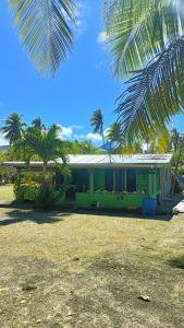 a green house with palm trees in front of it at Navi Homestay in Naisisili