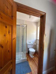 a bathroom with a toilet and a glass shower at Griggins House in Cur +46 photos