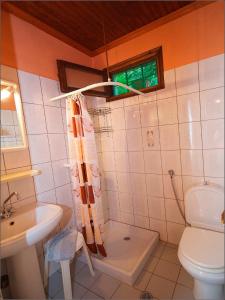 La salle de bains est pourvue de toilettes, d'un lavabo et d'une douche. dans l'établissement Villa Aglaini, à Ágios Dimítrios