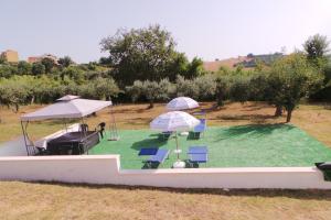 a pool with chairs and umbrellas in a field at La casa di Mazzancollo in San Martino in Pensilis