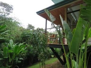 a house in the jungle with a balcony at Ruca Lodge -Luxury Cabins Nestled in Nature in Uvita +12 photos