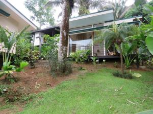 a house in a garden with a palm tree at Ruca Lodge -Luxury Cabins Nestled in Nature in Uvita