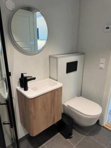 a bathroom with a sink and a toilet and a mirror at Cozy mini-apartment with kitchen in Åmot +16 photos