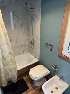 ein Badezimmer mit Toilette, Dusche und Waschbecken in der Unterkunft LANÍN Tiny House in San Martín de los Andes