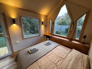 ein Schlafzimmer mit einem großen Bett und zwei Fenstern in der Unterkunft LANÍN Tiny House in San Martín de los Andes