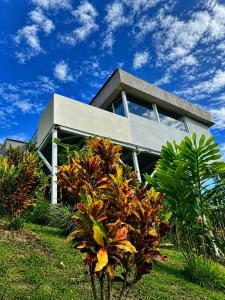 a house sitting on top of a lush green field at Glamping Jalisco in Buenavista +7 photos