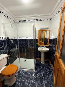 a bathroom with a shower and a toilet and a sink at Imperial Lodge in Lisdoonvarna +5 photos
